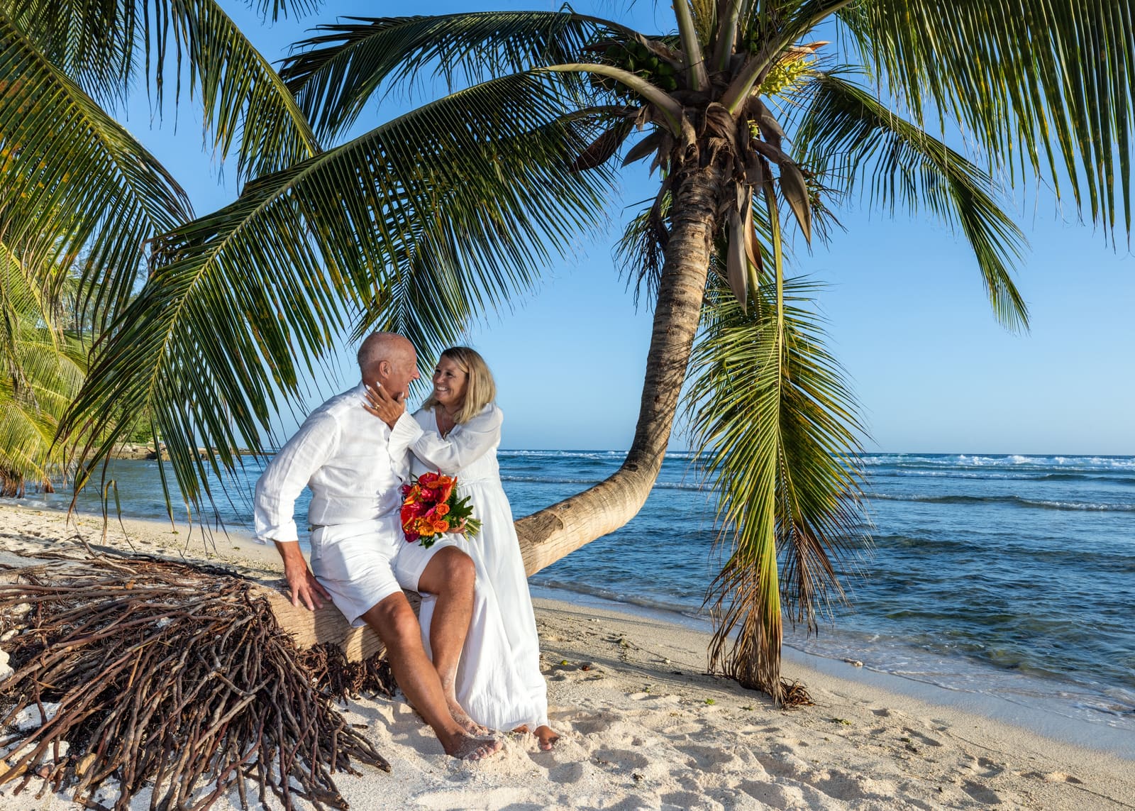Couple sitting under a leaning palm tree by the sea, Barbados
